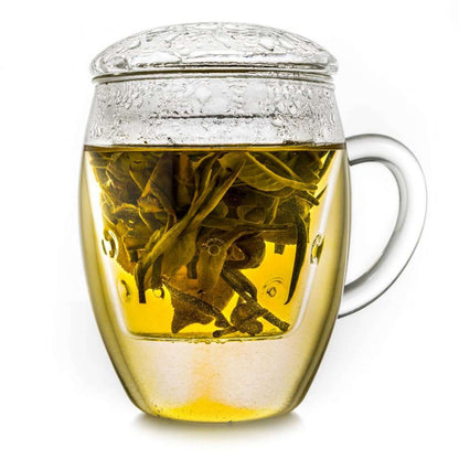 Creano theeglas 400ml met glasfilter en deksel - lekvrij theeglas to go
