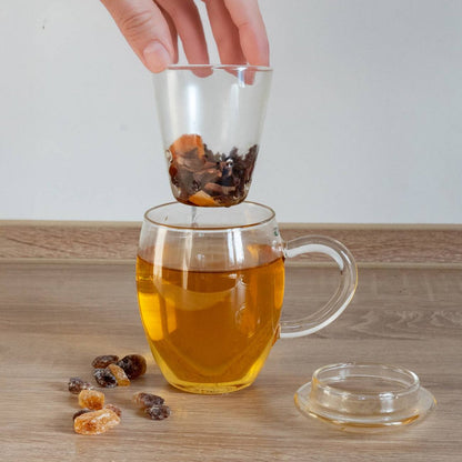 Glazen theeglas 400ml met deksel - hittebestendig borosilicaatglas
