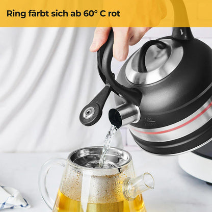 waterkoker RVS stijlvol zwart en zilver 1,6 liter geschikt voor alle soorten fornuizen incl. inductie