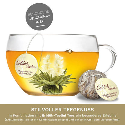 Klein theeglas 200ml Creano perfect voor bloeiende thee met deksel
